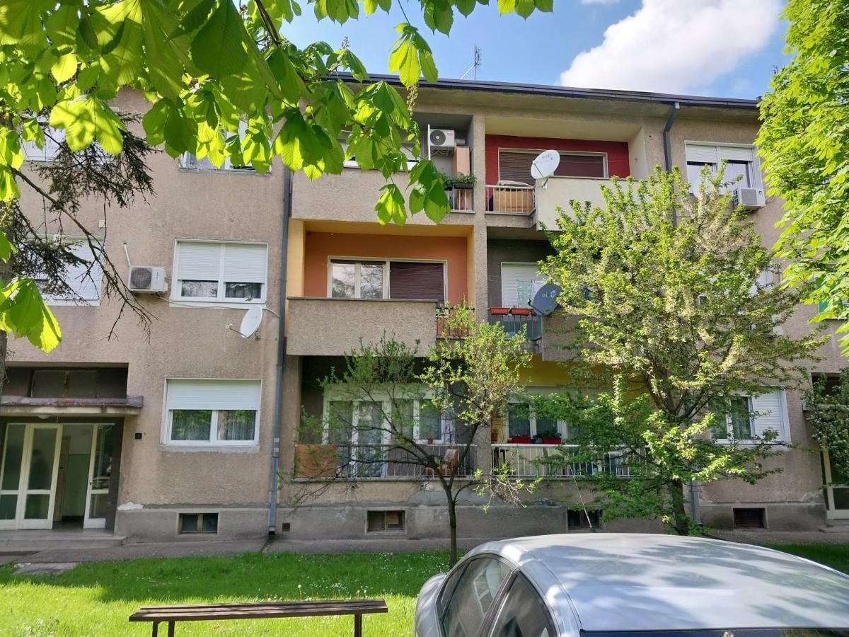 Apartmani Sofronic Loznica 1 Exteriör bild